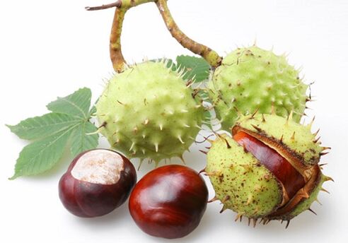 Chestnut fruits are rich in many valuable vitamins and trace elements that are beneficial for the prostate gland.